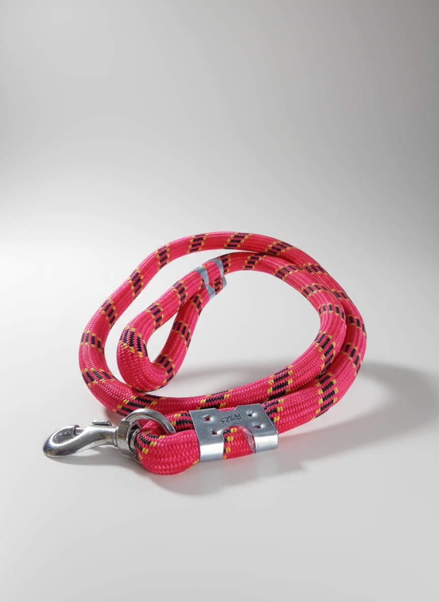 leash small - Buy dog and pet products in Kathmandu, Nepal